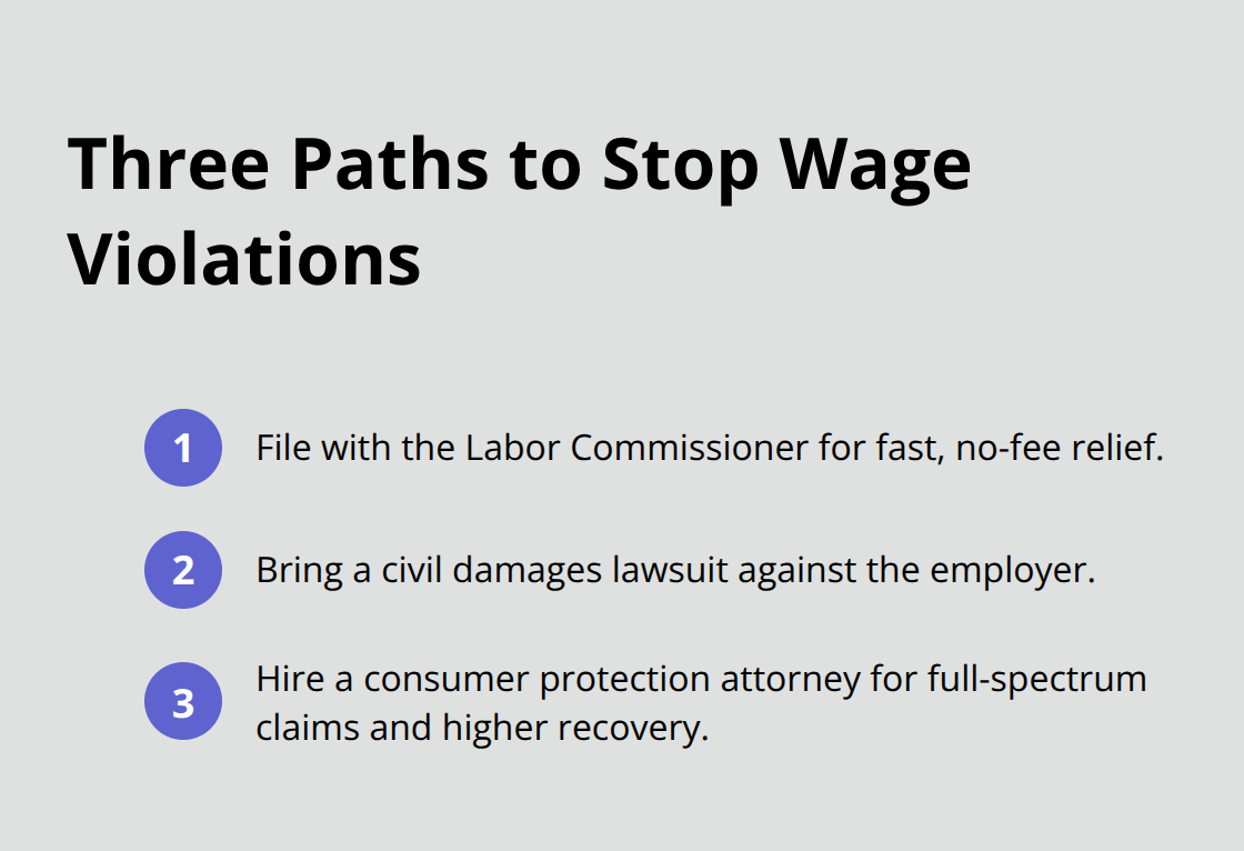 Compact list of three options to challenge unlawful wage garnishment - CA wage garnishment aid